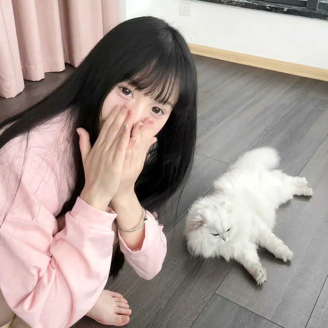 白宫也疯狂