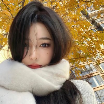 网劫
